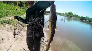  AMAZING fishing for LARGE CATFISH AND BOGAS in the GUALEGUAY river accurate fishing 2025