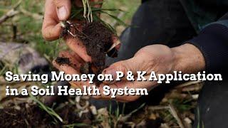 Saving Money on P & K Application in a Soil Health System - Practical Cover Croppers