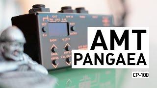 AMT PANGAEA CP-100 (IR Cabinet Simulator)