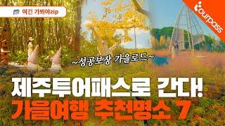 이대로만 따라가면 100% 성공보장! 제주 가을여행 추천명소 BEST 7 제주투어패스