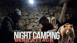 Night Camping In Dangerous Forest // Bear Attack //Kashmir Adventure//Camping in kaahmir