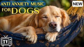 Anti Anxiety Music for Dogs: Soothing Lullabies for Anxious & Stressed Dogs! Calming Music for Dogs