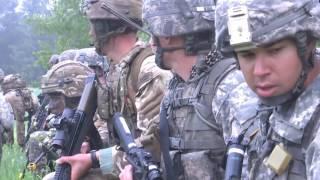 Saber Strike 17 Task Force Air Assault