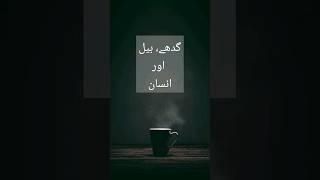 Sheikh Saadi Shirazi Quotes #saadi #shirazi #sheikh Best Quotes of the day #lifequotes#islamicstatus