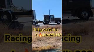 Racing And Pacing A  Peterbilt 389 -- Picacho, Arizona