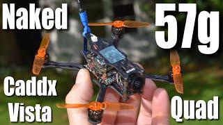 57g 2.5" 2s Naked Caddx Vista Toothpick  (GepRC Phantom HD Killer ? )