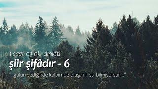 şiir şifâdır | en sevilenler - 6 (1 saat 3 dk. dinleti)