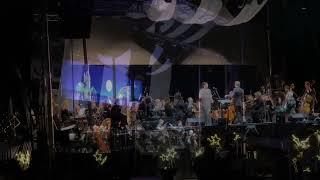 Opera Under the Stars in Naples, FL