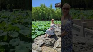 Пекин  Лотосы 🪷 #Beijing #travel #China #путешествия #garden #spring #relax