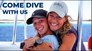 Diving with Dive Friends Bonaire | We Are Your Dive Friends