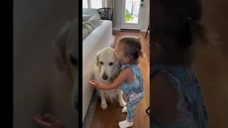 Dogs and Babies Bonding #shorts #youtubeshorts #viral