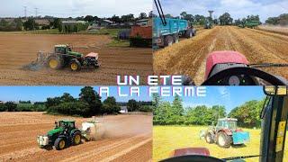  Un été à la ferme ️ Suivez-moi !!