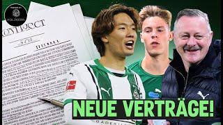 Schnäuzer für Europa!  Neue Verträge für Itakura & Virkus!  Swider neuer 6er! 🟢