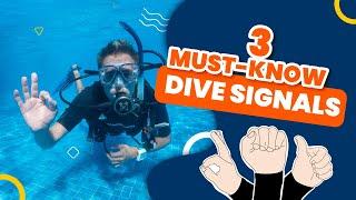 DON’T DIVE WITHOUT KNOWING THESE 3 COMMAND SIGNALS!