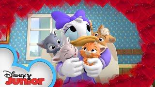 Happy Helpers Babysit Kittens | Mickey Mouse Mixed-Up Adventures | @disneyjr