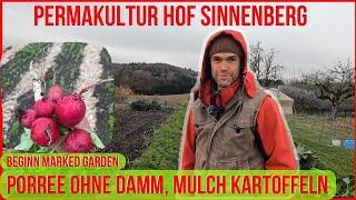 Permakultur Hof Sinnenberg, Aufbau No Dig Marked Garden | Mulch Kartoffeln | Porree ohne Damm