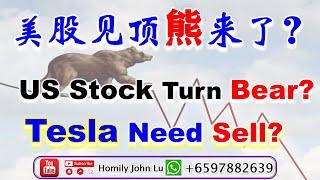 Homily Chart John Lu | 美股见顶熊来了？| US Stock Turn Bear?  | Tesla Need Sell now? 10th Dec 2020