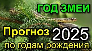 ПРОГНОЗ НА 2025 ГОД ПО ГОДУ РОЖДЕНИЯ. ВОСТОЧНЫЙ КАЛЕНДАРЬ 