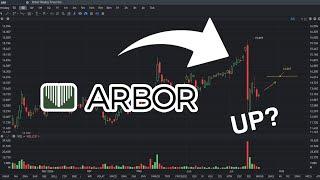 ABR Stock Price Prediction: UP? | ABR stock analysis