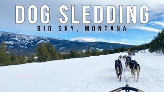 Dog Sledding Adventure with Spirit of the North | Big Sky, MT