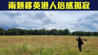 【適應移民生活嗎】移英港人調查：兩類人倍感孤寂心理明顯受困