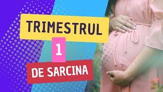 Trimestrul 1 de sarcina - simptome, dezvoltarea bebelusului, analize