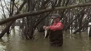 Wade Fishing for Crappie at Grenada Lake