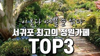 [제주카페]이보다 예쁠 순 없다 서귀포최고의 정원카페TOP3|서귀포정원카페|제주카페|제주여행|마노르블랑|제주핫플카페|카페숨도|인생샷명소|제주핫플카페|제주카페추천|제주카페투어|베케