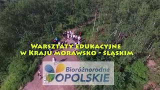 Kraj Morawsko   Ślaski