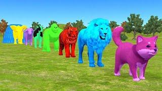 Paint Animals Cow Gorilla Duck Lion Chicken Sheep Tiger Dinosaur Fountain Crossing 3D Animals