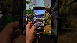 vivo X200 Pro 4K60 video recording can switch lens smoothly!