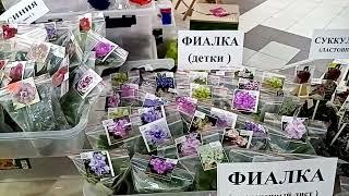 Выставка в Галактике 14-15 сентября. Завершаем обзор.