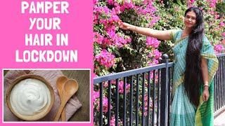 Lockdown Hair Care | Deep Conditioning For Extremely Dry, Damaged, Frizzy Hair | Sushmita's Diaries