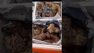 능이 판매. 1kg 시세.가격 정보