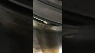 Honda MAJOR Main Seal Oil Leak | D16Y8