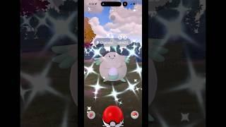 Catching a Shiny Chansey in Pokémon GO #pokemon #shinypokemon #pokemongo