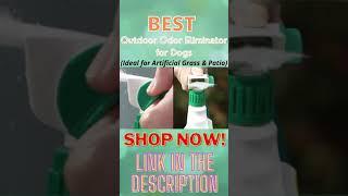 How to Remove Pet Odor from Artificial Grass with Simple Green Outdoor Odor Eliminator | #Shorts