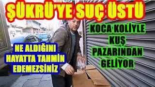 GÜVERCİNE DOYMAYAN ŞÜKRÜ SONUNDA BUNU DA YAPTI