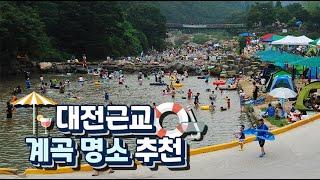 이번 여름 계곡은 여기다! 다가오는 여름 대전근교 계곡 명소 추천