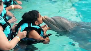 Swim with Dolphins in Punta Cana!