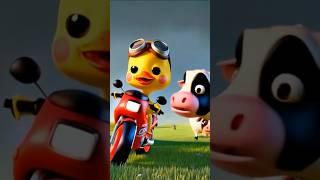 A cute little duck riding a bike narrowly escapes from a cows ! ️ #littleduck #cuteduck #cows