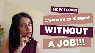 Stuck in the No-Experience Trap? How to Get Canadian Work Experience WITHOUT a Job!!!