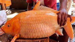 Never Seen!!! Big Carp Fish Cutting Live In Fish Market | Fish Cutting Skills