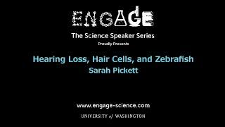 Hearing Loss, Hair Cells, and Zebrafish by Sarah Pickett