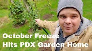 Unusual Freeze Hits PDX Garden Home