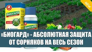 Как избавиться от сорняков и травы навсегда