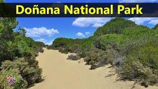 Best Tourist Attractions Places To Travel In Spain | Doñana National Park Destination Spot