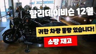 할리데이비슨 12월 프로모션 극 소량 재고 최대 700만원 크래딧 / 도도할리 최우혁