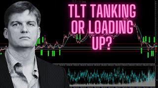 Michael Burrys TLT stock is tanking and Inflation is becoming more sticky. Time to panic?