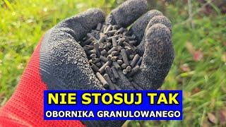 Nie Stosuj tak Obornika granulowanego. Jak i Kiedy Stosować Obornik granulowany Jesienią czy Wiosną.